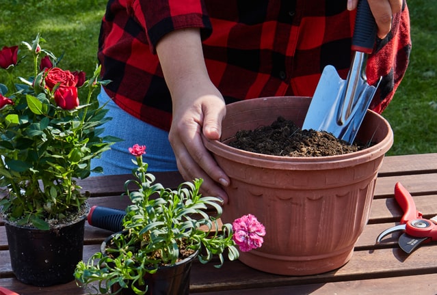 Garden ELITECH - 1 фото