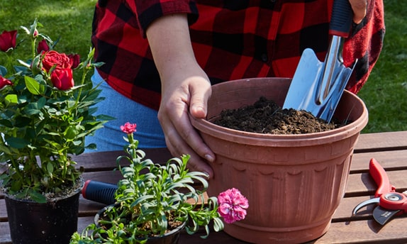 Garden ELITECH - 2 фото