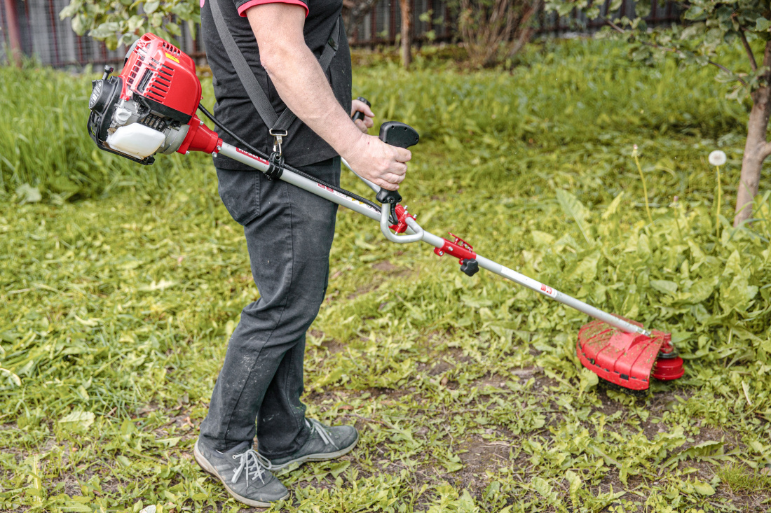 sfdnff.jpg sfdnff.jpg