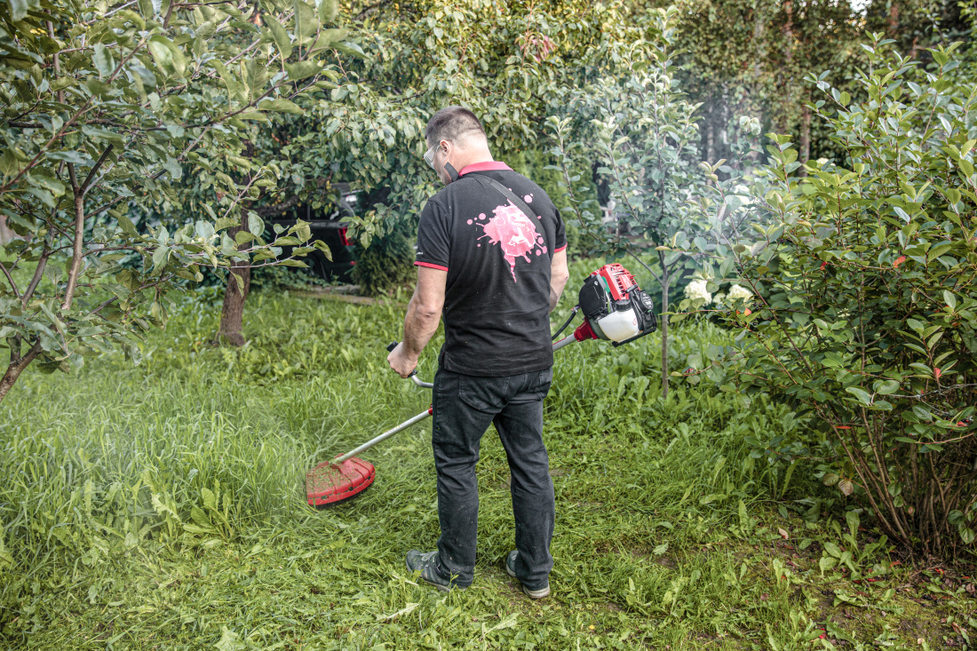 koshenie.jpg koshenie.jpg