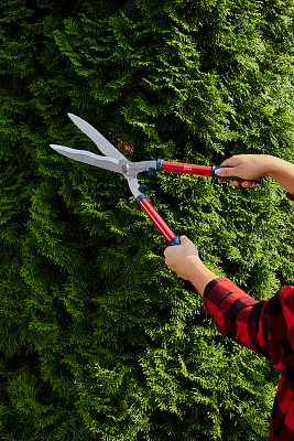 Ножницы садовые GS06 - фото 8