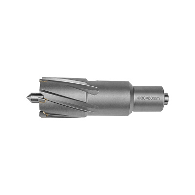 Фреза по металлу 30х55мм Weldon 19мм TCT 1110.010300 - фото 3