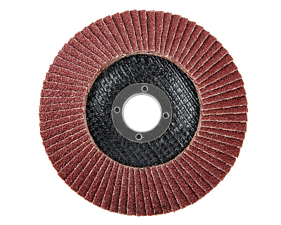 Диск лепестковый,ф125х22.2мм,P40,5шт 1820.174500 (набор) - фото 3