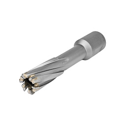 Фреза по металлу 16х55мм Weldon 19мм TCT 1110.009600