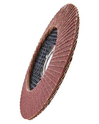 Диск лепестковый 125мм, P100 1820.174800 - фото 7