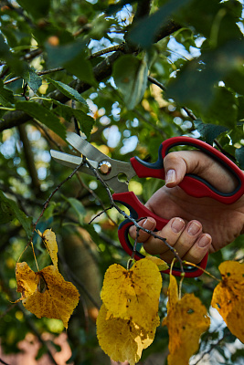 Ножницы для травы GS03 - фото 11