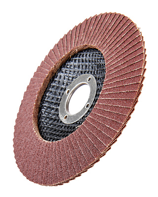 Диск лепестковый 125мм, P100 1820.174800 - фото 4