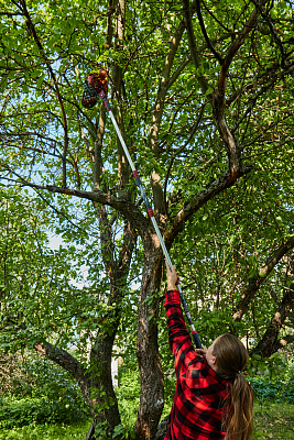 Плодосборник GT02 - фото 10