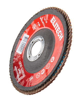 Диск лепестковый 125мм, P100 1820.174800 - фото 3