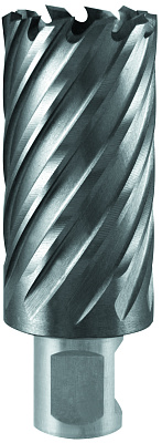 Фреза по металлу 22х55мм Weldon 19мм TCT 1110.009900 - фото 1