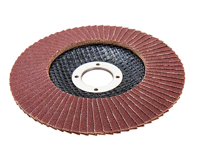 Диск лепестковый 125мм, P120 1820.174900 - фото 6