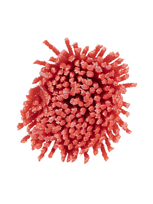 Щетка для дрели кистевая D28мм 1820.155200 - фото 2