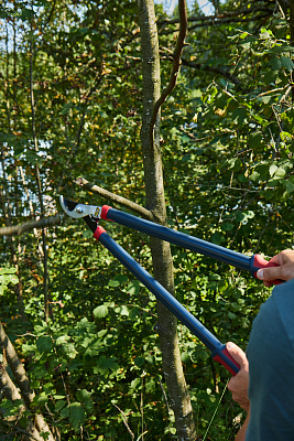 Сучкорез плоскостной GCT18 - фото 9