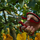 Эргономичные ручки с покрытием из нескользящего материла для комфортного захвата.