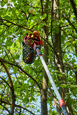 Плодосборник GT02 - фото 9