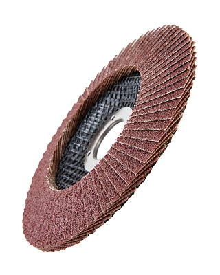 Диск лепестковый 125мм, P80 1820.174700 - фото 7